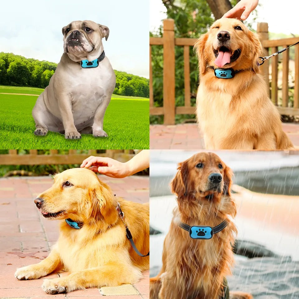 BarkBuddy Anti-Bark Dog Collar