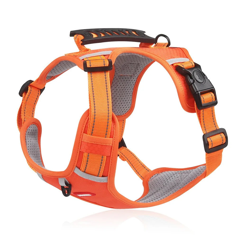 GripHarness No-Pull Dog Harness