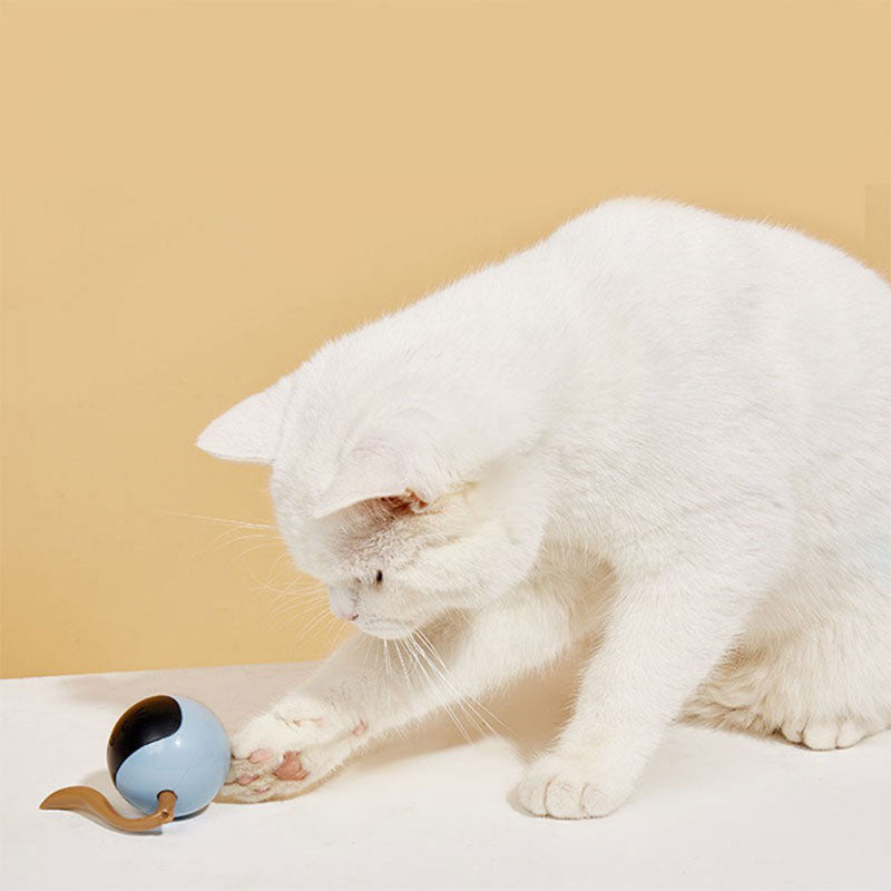KittyRoll Interactive Self-Rolling Ball Cat Toy