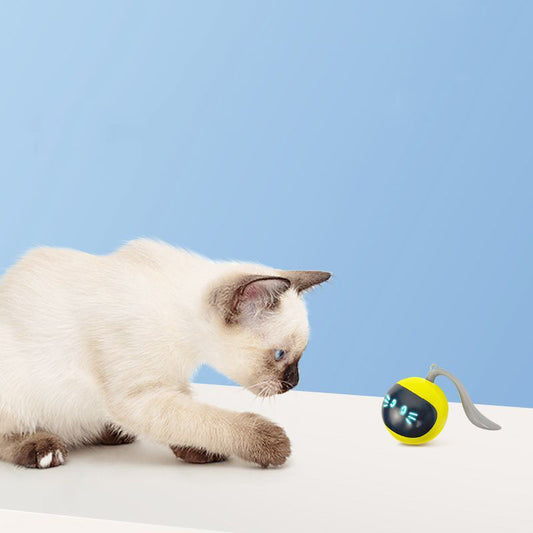 KittyRoll Interactive Self-Rolling Ball Cat Toy