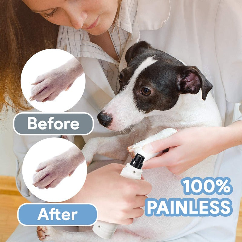 Premium painless nail clipper for pets hotsell