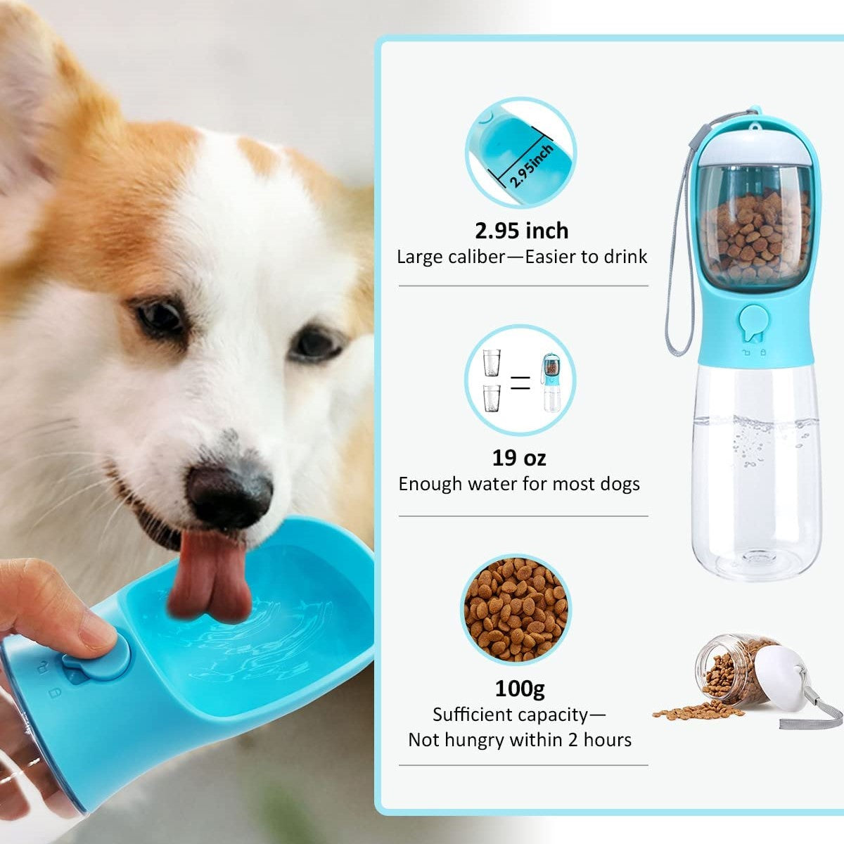 Large dog best sale water bottle