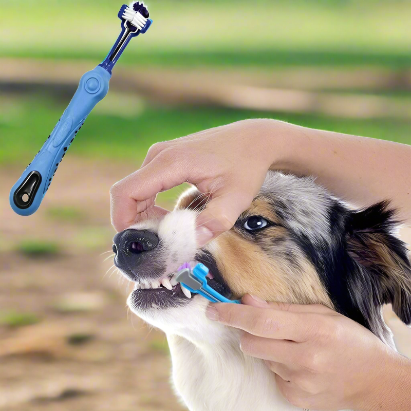 Paw360 - Dog Toothbrush